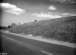 Tree Planting on Route 15 in Hyde Park