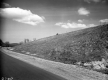 Tree Planting on Route 15 in Hyde Park