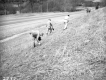 Tree Planting on Route 15 in Hyde Park