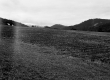 Farmstead and Agricultural Fields