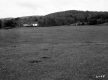 Farmstead and Agricultural Fields
