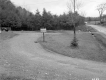 View toward Forest