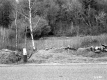 View toward Forest