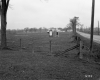 Farmstead and Agricultural Fields
