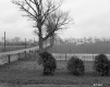 Fenced Pasture