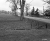 Houses and Pasture