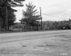 Forest and Fields