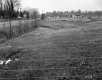 Farmstead and Agricultural Fields