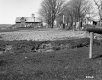 Barn and Tree Stumps
