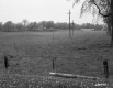Grassy Pasture