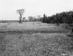 Farmstead and Agricultural Fields