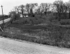 Farmstead and Agricultural Fields