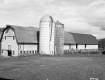 Dairy Complex
