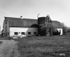 Dairy Complex