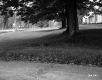 Front Lawn