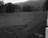 Field before Mountains