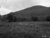 Wooded Mountain
