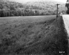 Field by Road