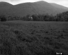 Field before Mountain