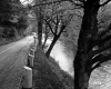 Guard Rails
