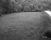 Field by Road