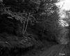 Dirt Road