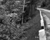 Guard Rail