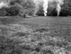 Field with Smoke