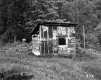 Wooden Shack