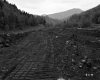 Tire Tracks