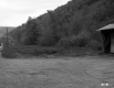 Wooded Mountainside