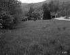 Houses by Road