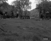 Bridge and Grass