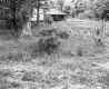 Field behind House