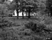 Field behind House