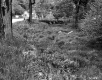 Grassy Area and Stone Wall