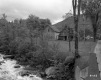 Houses by Road