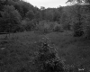 Wooded Mountainsides