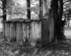 Wooden Shack in Forest