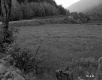 Field by Road and Mountains