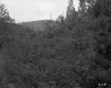 Wooded Hill and Mountain