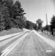 Wood Poles on Road