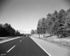 I91 Signs