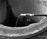 Water in Well