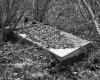 Spring Box