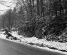 Slope by Road