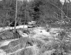 Winooski River Rapids, Looking Northeast