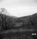 Future Site of I-89 Construction near Bolton