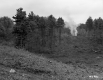 Clearing Trees for I-89 Construction near Burlington, Looking Southwest