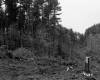 Future Site of I-89 Construction near Burlington, Looking Southwest
